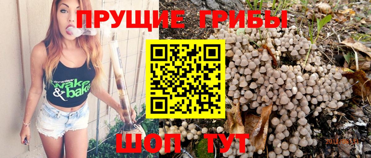 Люберцы  Псилоцибиновые грибы Psilocybine cubensis  Вход с VPN  Галлюциногенные грибы ЛСД 